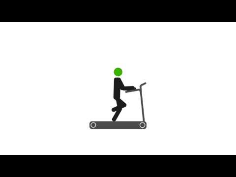 Physical Activity | Ejercicios (1)