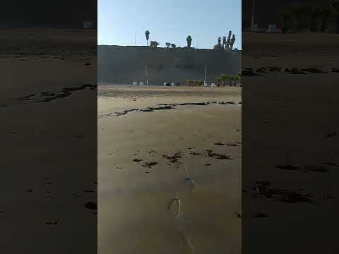 Playa Hermosa Marcona Nazca Ica Perú  #cicloviajero #parati  #viajeinolvidable #vidanomada