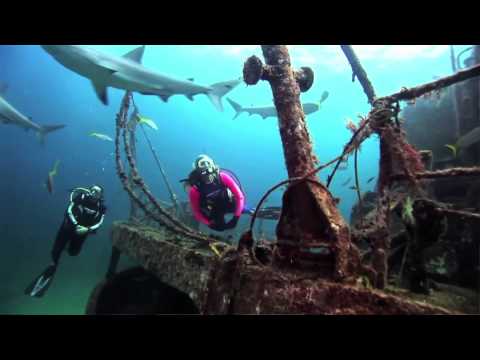 DEMA Show 2013 - Stuart Cove HD