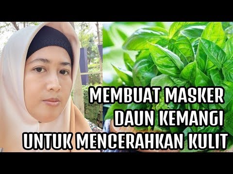 MAU PUNYA WAJAH CERAH DENGAN CARA MURAH MERIAH? #CARA MEMBUAT MASKER DAUN KEMANGI