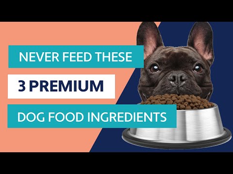 3 Premium Dog Food Ingredients To Avoid