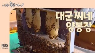 [나는농부다 268회] 대군 씨네 양봉장