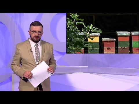 5.1.2023. VIJESTI OSJEČKE TELEVIZIJE