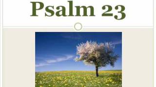 Psalm 23.wmv