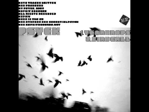 Psyek - Teardrops (Esprit Records/ESP014)