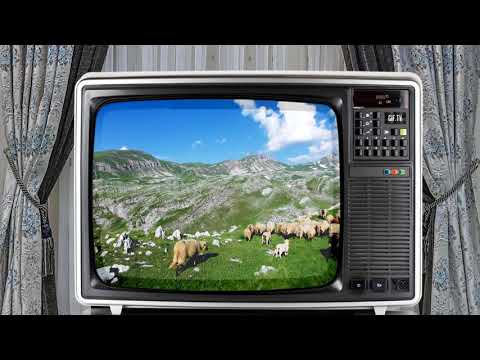 Dragoljub Drago Kovačević - Bjelasicom pasla stada