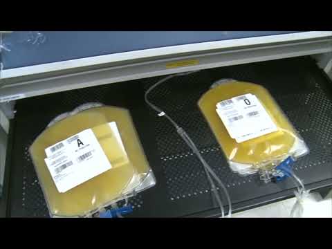Blood Shortage