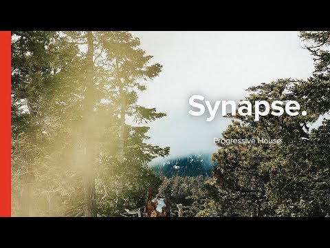 Notalike & Etta Matters ft. Itto - What We Do (Shaze & Pigalle Remix) [Free]