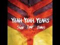 Yeah Yeah Yeahs-Gold Lions