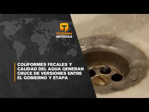 Coliformes fecales y calidad del agua generan cruce de versiones entre el gobierno y ETAPA