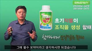 열려라 참깨! 안이영 박사의 참깨 재배법 1편