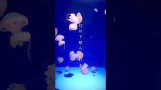 好きなBメロできた　#オリジナル曲 #ボカロ