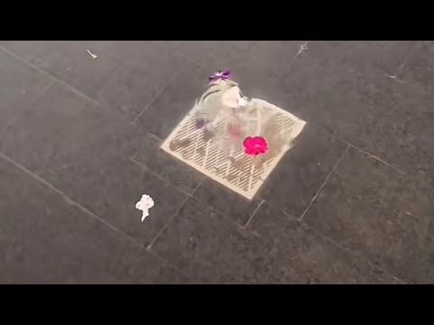 فشل نظرية كوريولس 😂Coriolis effect