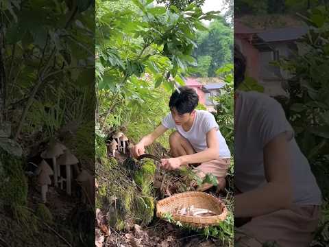 #short #agriculture #agritools#farming2024  #youtubeshorts #satisfying #EliteShortsUnleashed #2181