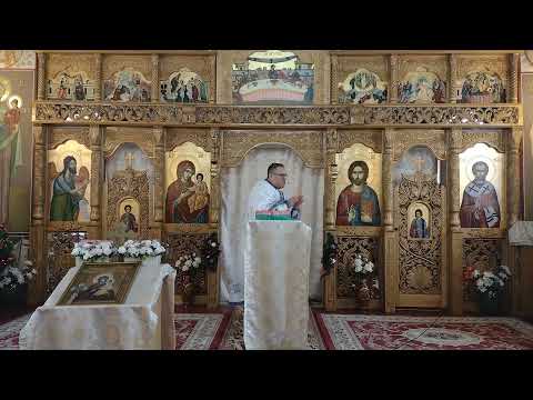 Pr  Nicolae Pavel - Ce ne-a pus Dumnezeu in cadoul de Craciun?