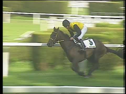 4.a  corsa Pr. Giuseppe Chiodini  27 07 2019