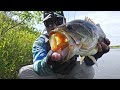 Video Thumbnail for These FROG Eating BASS Drive Me CRAZY!! (Boundary Dam Magic)