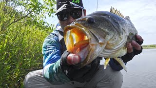These FROG Eating BASS Drive Me CRAZY!! (Boundary Dam Magic)