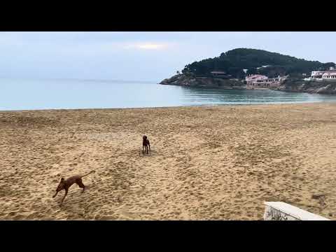 Platja de la Fosca & Platja del Castell, Spain.