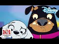 101 Dalmatian Street | Disco Puppies | Disney Channel NL