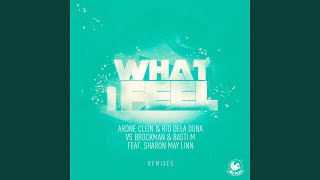 What I Feel (feat. Sharon May Linn) [D.E.R., Sebastian Massianello, DJ Fist Remix] song artwork