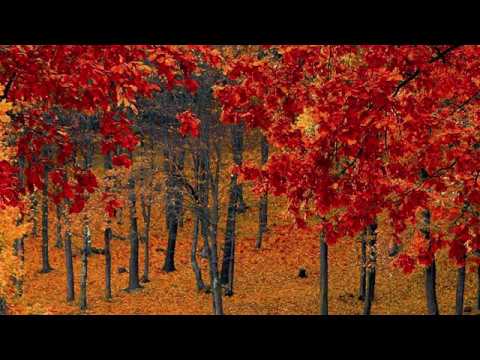 Najljepše dječje pjesme - Ide jesen