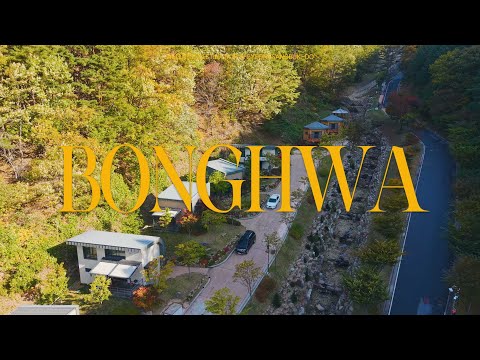 [경북 웰니스 관광지] 