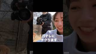 Download lagu NTV announcer points at animal poop and laughs mp3