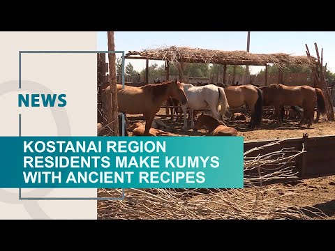 Kostanai region residents make kumys with ancient recipes. Qazaq TV News