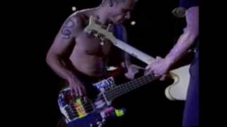 Red Hot Chili Peppers - Californication Intro Jams 1