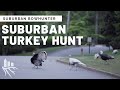 Suburban Bowhunter Georgia Turkey