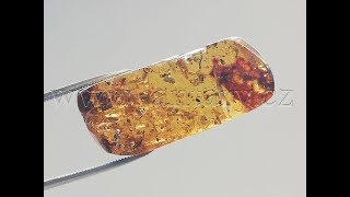   Křídový jantar B-237