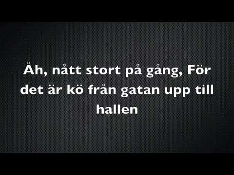 Veronica Maggio ~ Välkommen in ♥