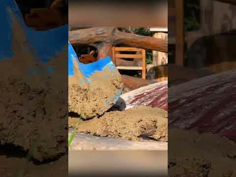 Step-by-Step Cooking Demonstration: Preparing a Flavorful Dish