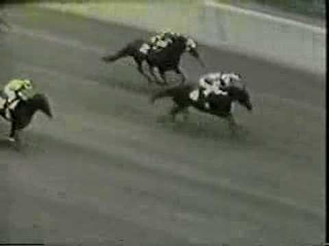 Forego - 1976 Marlboro Cup Recap