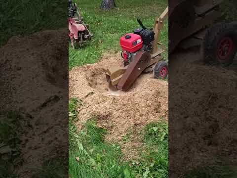удаление пней дробилка бобёр часть 2