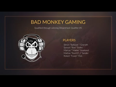 DreamHack Summer 2015 Team Spotlight - Bad Monkey Gaming