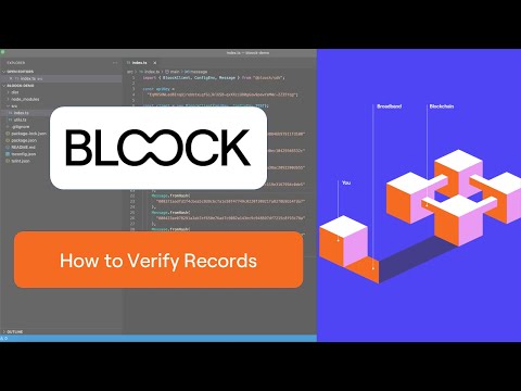 How to Verify records v.2 | BLOOCK tutorial