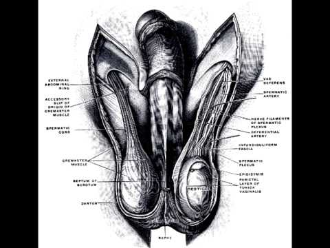 Urban Minds ft. Bizzy - Run This Town (remix)