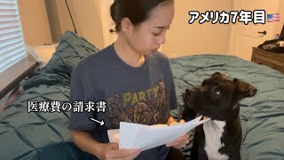 【🇺🇸医療費がヤバすぎる】救急車とERの費用が、、、