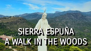 DJI Mavic Air 2 scenic flight | Walk In The Woods - Sierra Espuña, Murcia, Spain.
