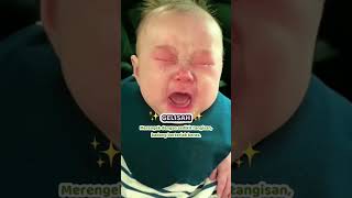Download lagu yukk moms belajar kenali arti tangisan baby biar kita ga salah buat nanganinnya hehe🥰🥰 mp3