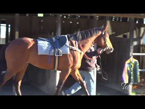 The Autumn Sun - Trial 14 August