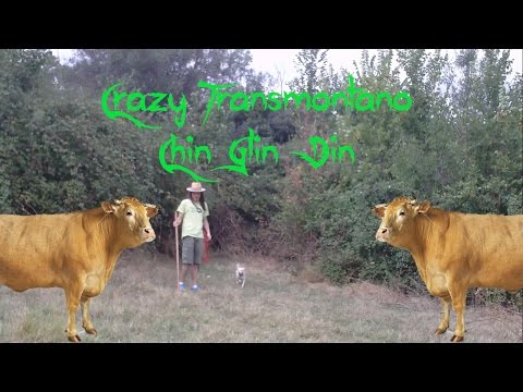 Crazy Transmontano - Chin Glin Din (Tradicional Mirandesa)