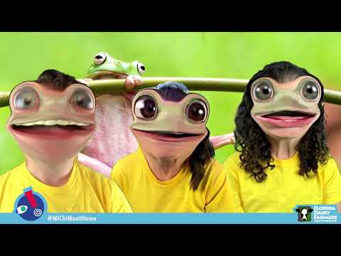 The Frog Olympics | Story Time for Kids | Olympics