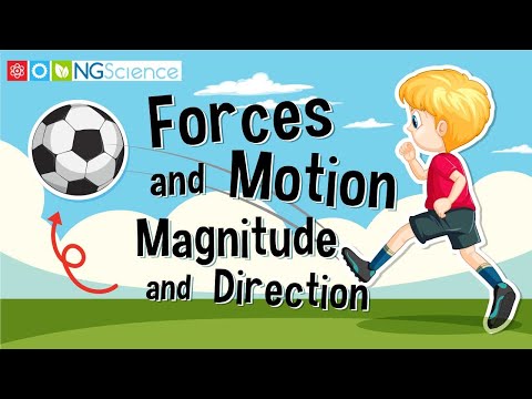 Forces and Motion – Magnitude and Direction