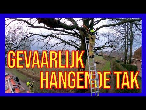 Gevaarlijk hangende tak  - VOLUNTEERS DUTCH FIREFIGHTERS -