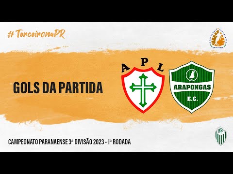 GOLS DA PARTIDA | PORTUGUESA 1x1 ARAPONGAS  - TERCEIRA DIVISÃO