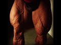 IFBB PRO Dobri Delev legs season 2017