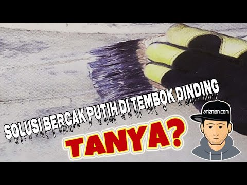 solusi bercak putih di tembok dinding solusi-bercak-putih-di-tembok-dinding